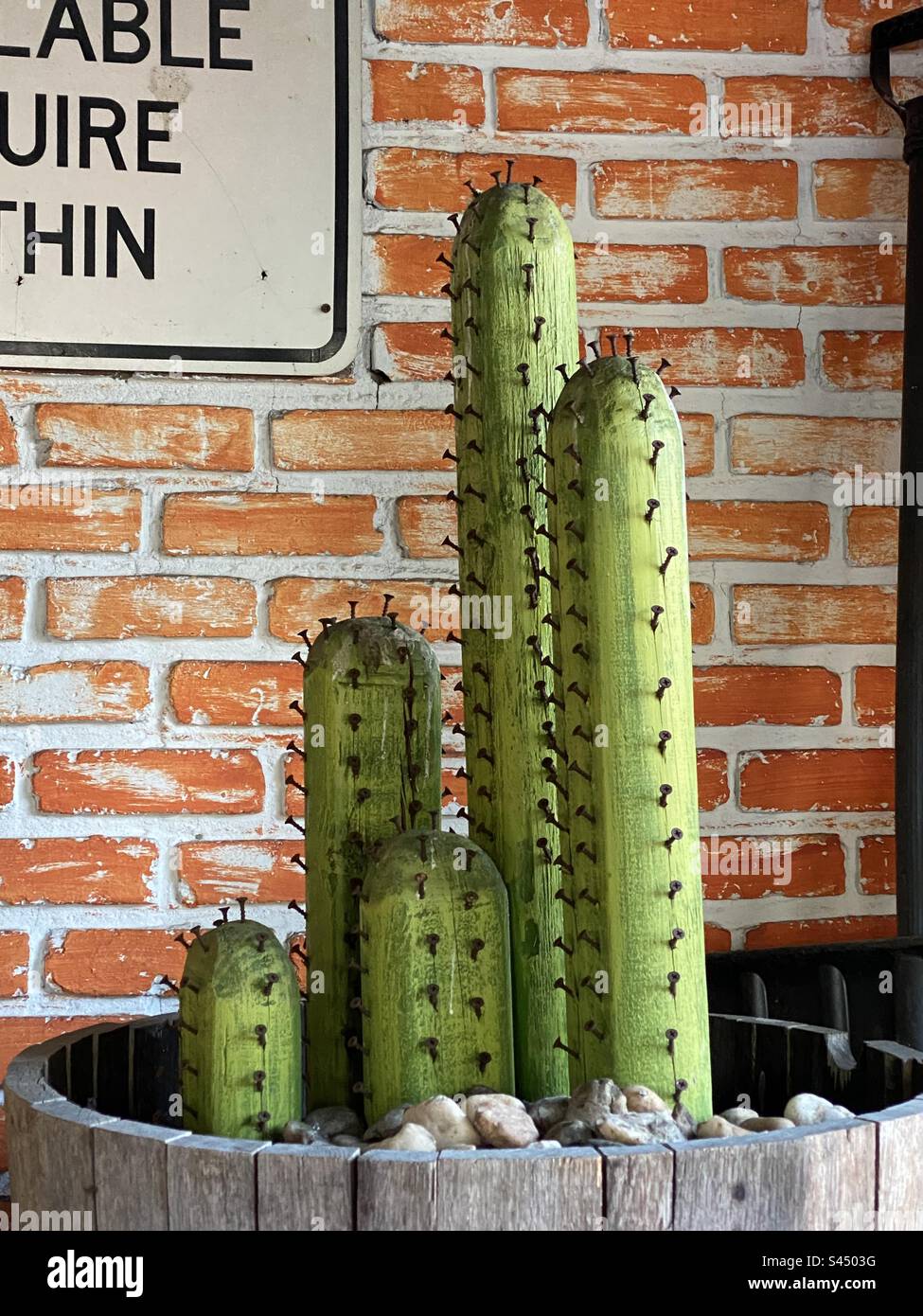 Cactus en pot, faux bois vif Banque D'Images