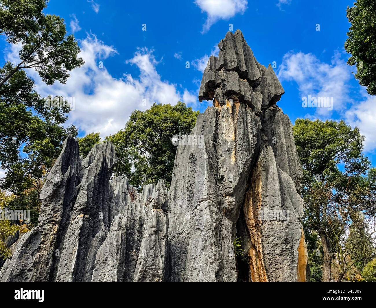 Parc forestier en pierre Banque D'Images