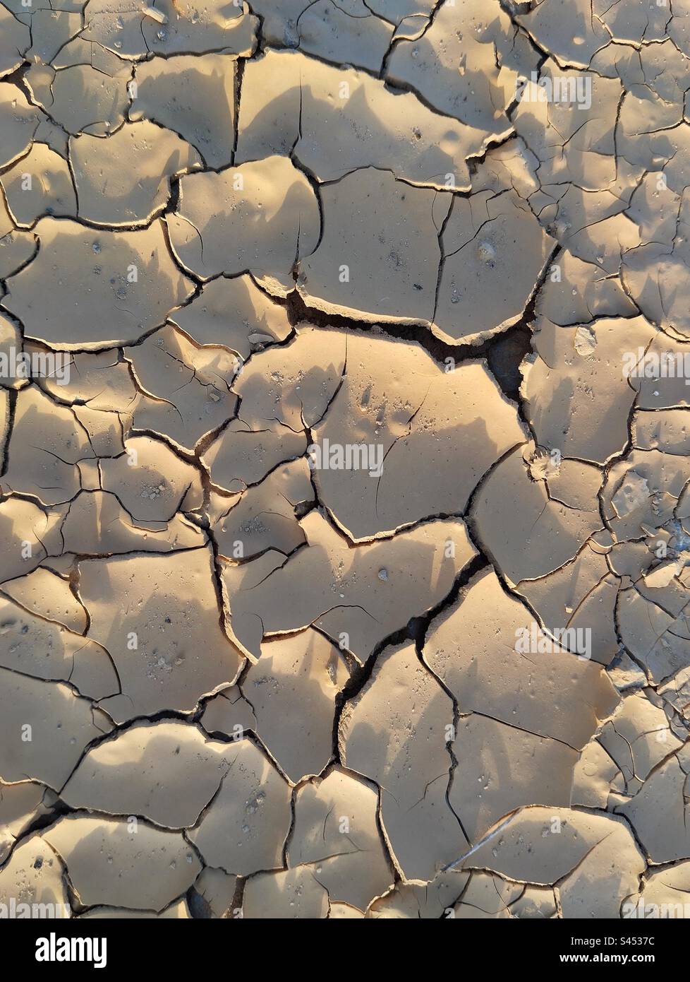 Terre fissurée: Sécheresse Banque D'Images