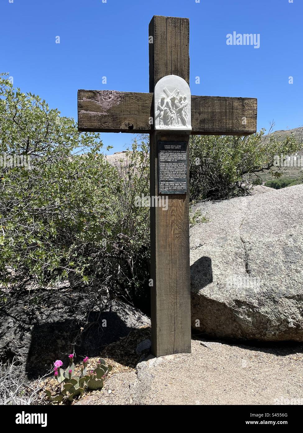Sanctuaire de Saint Joseph, stations de la Croix, cactus fleuris au