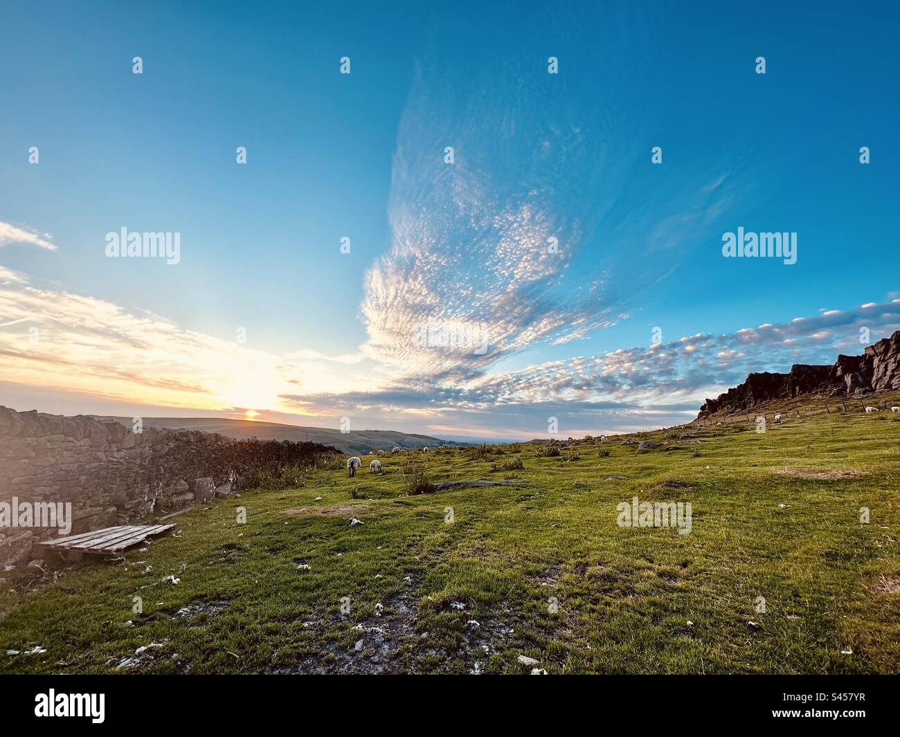 Serene, Windgather Rocks, Goyt Valley Banque D'Images