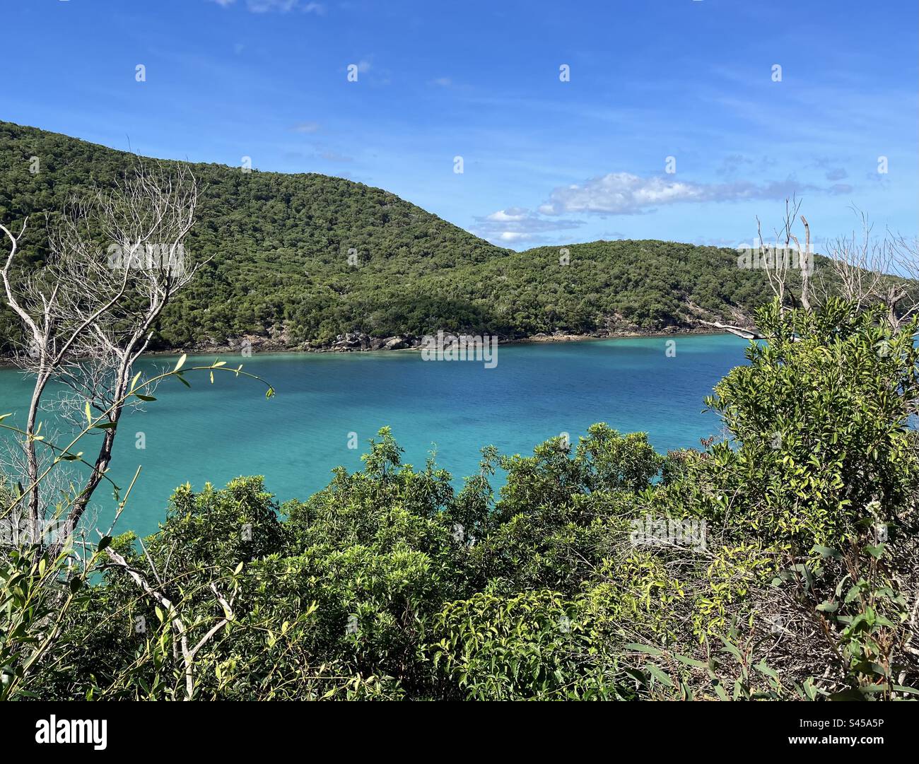 Vues sur Hamilton Island Banque D'Images