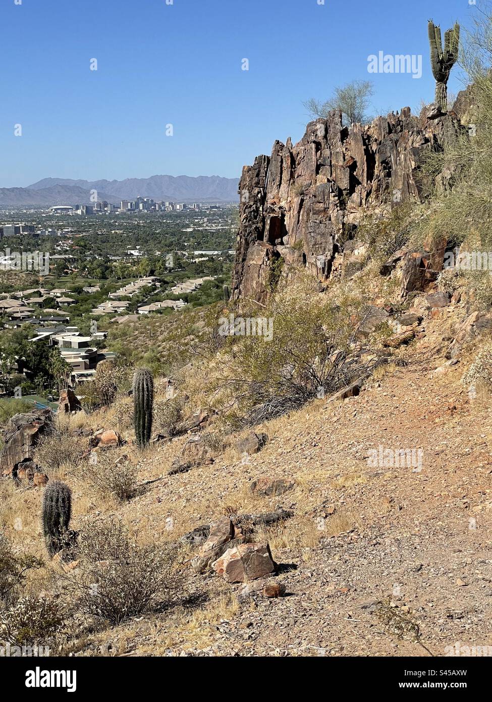 Skyline de Phoenix, vue préservée des montagnes de Phoenix, sentier Mojave, ciel bleu brillant, cactus Saguaro, toile de fond South Mountain, Désert de Sonora Banque D'Images