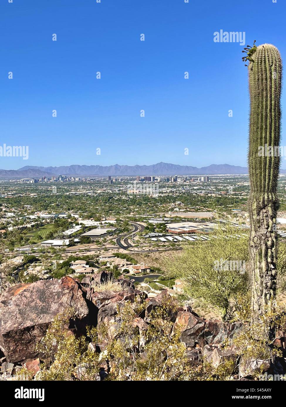 Skyline de Phoenix, vue préservée des montagnes de Phoenix, sentier Mojave, ciel bleu brillant, cactus Saguaro, toile de fond South Mountain, Désert de Sonora Banque D'Images