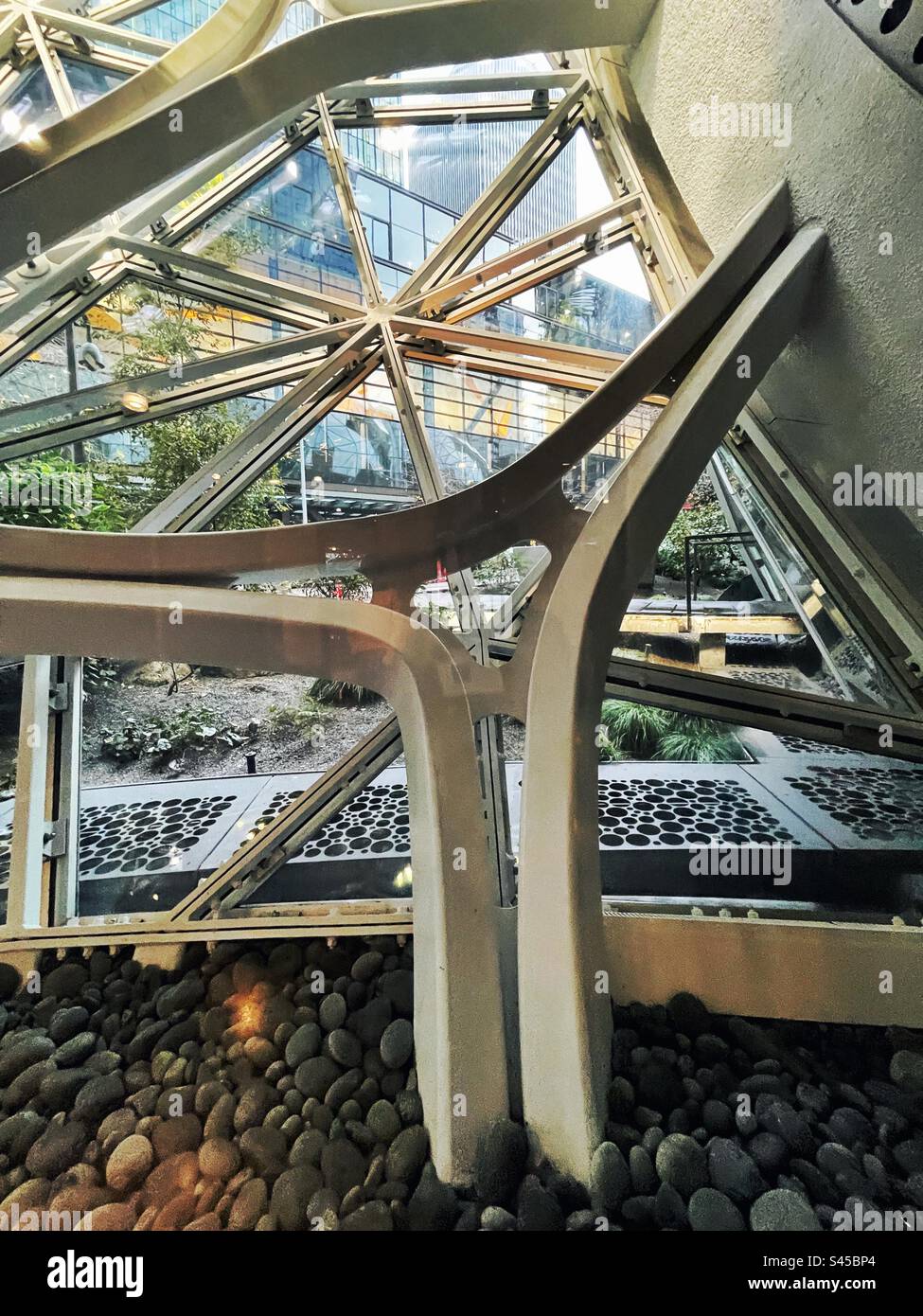 Architecture organique des sphères amazoniennes à Seattle - Image de stock capturée avec un smartphone