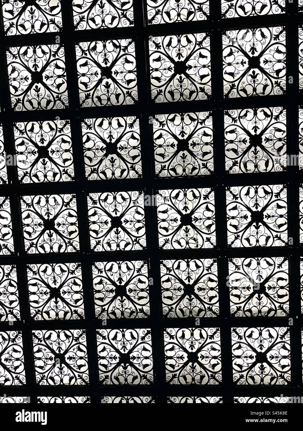 Belle lucarne dans la bibliothèque morgan à New York - Image de stock capturée avec un smartphone