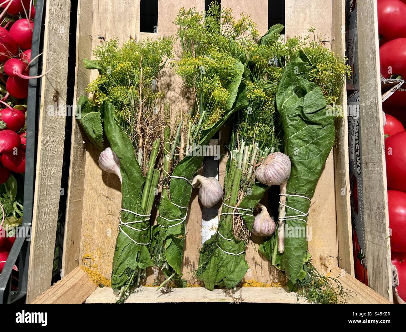 Épices vertes pour concombres marinés dans un Greengrocery / Kräuter für eingelegte saure Gurken beim Gemüsehändler Banque D'Images