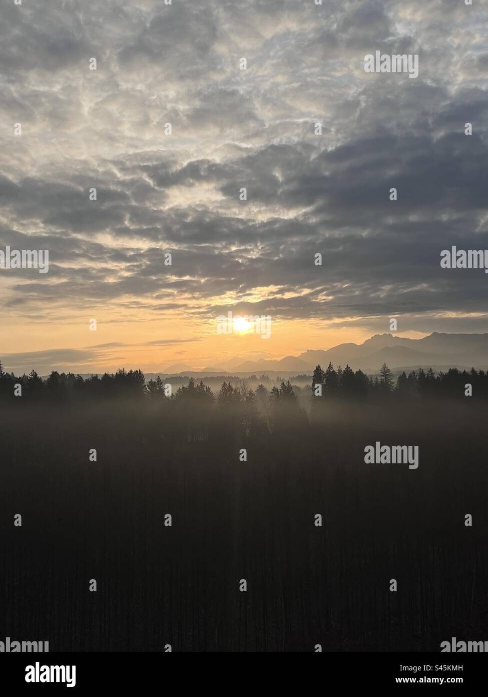 lever du soleil forêt brume montagnes Banque D'Images