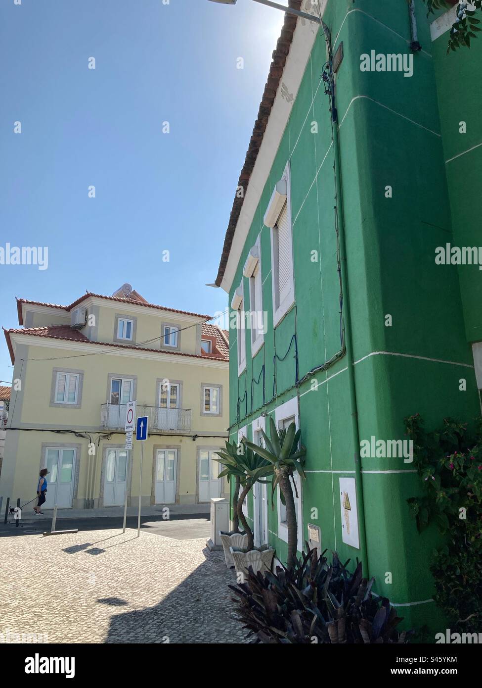 Vue de maisons portugaises typiques dans la région sud du pays. Maison traditionnelle verte et jaune pâle. Banque D'Images