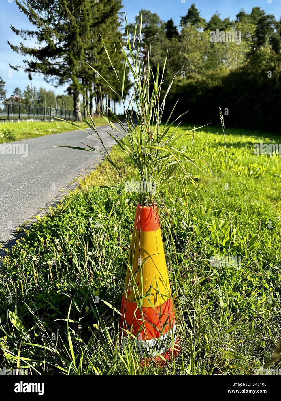Herbe poussant à travers le cône de circulation abandonné Banque D'Images