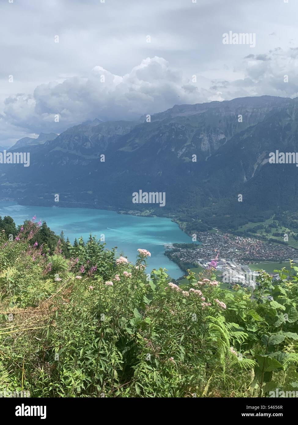 Vue sur le lac BRIENZ depuis Harder kulm Banque D'Images