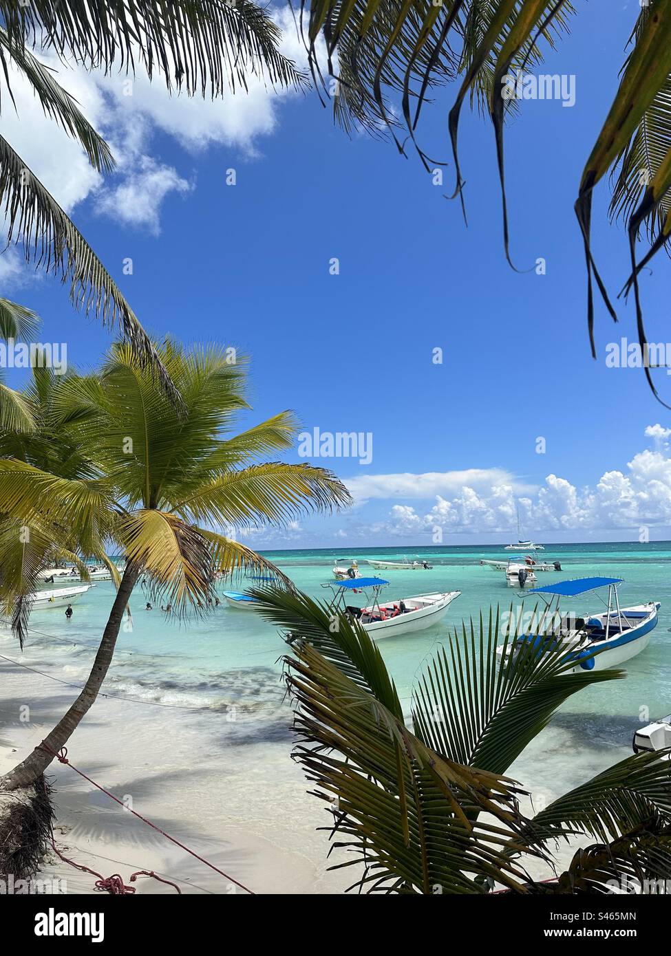 Isla Saona, République dominicaine Banque D'Images