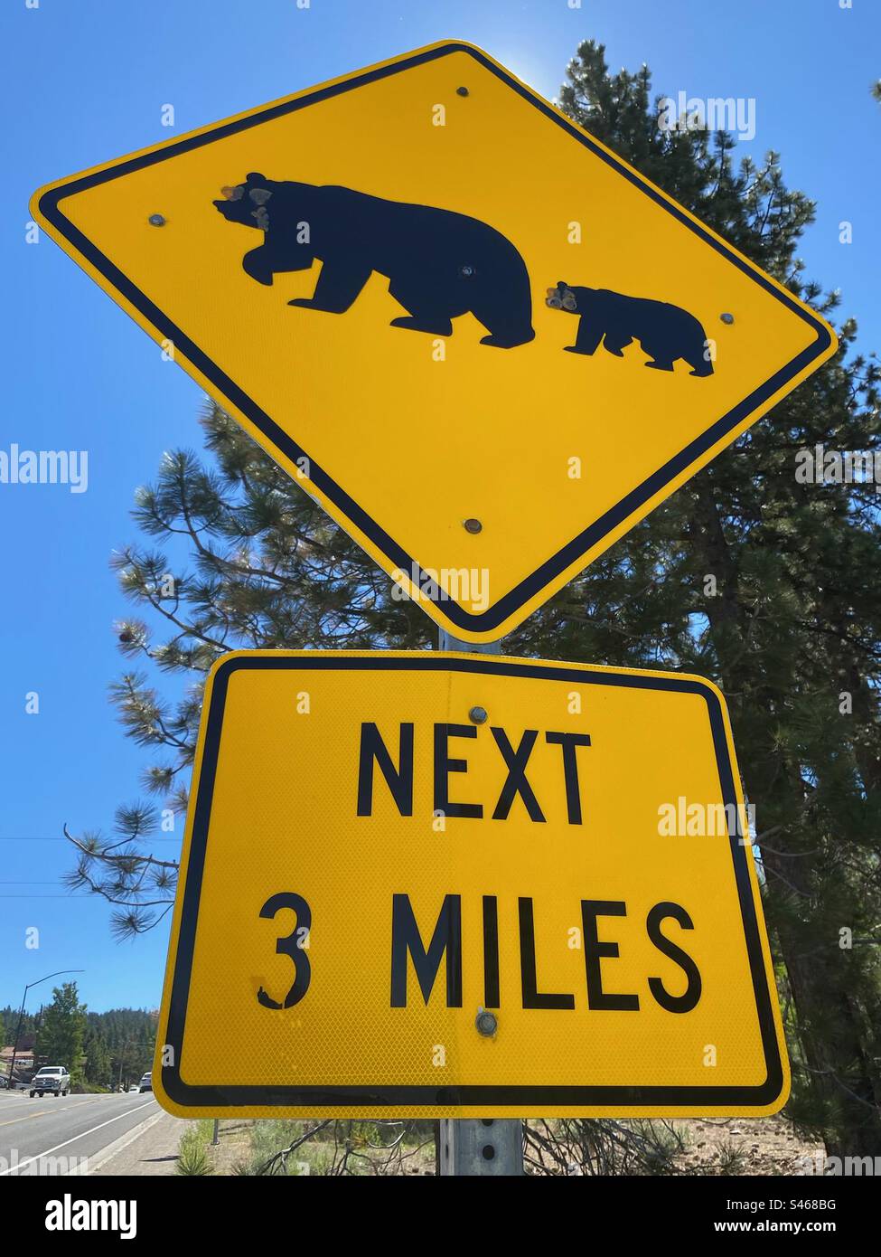 Panneau Bears Crossing sur fond jaune, Stateline, Nevada Banque D'Images