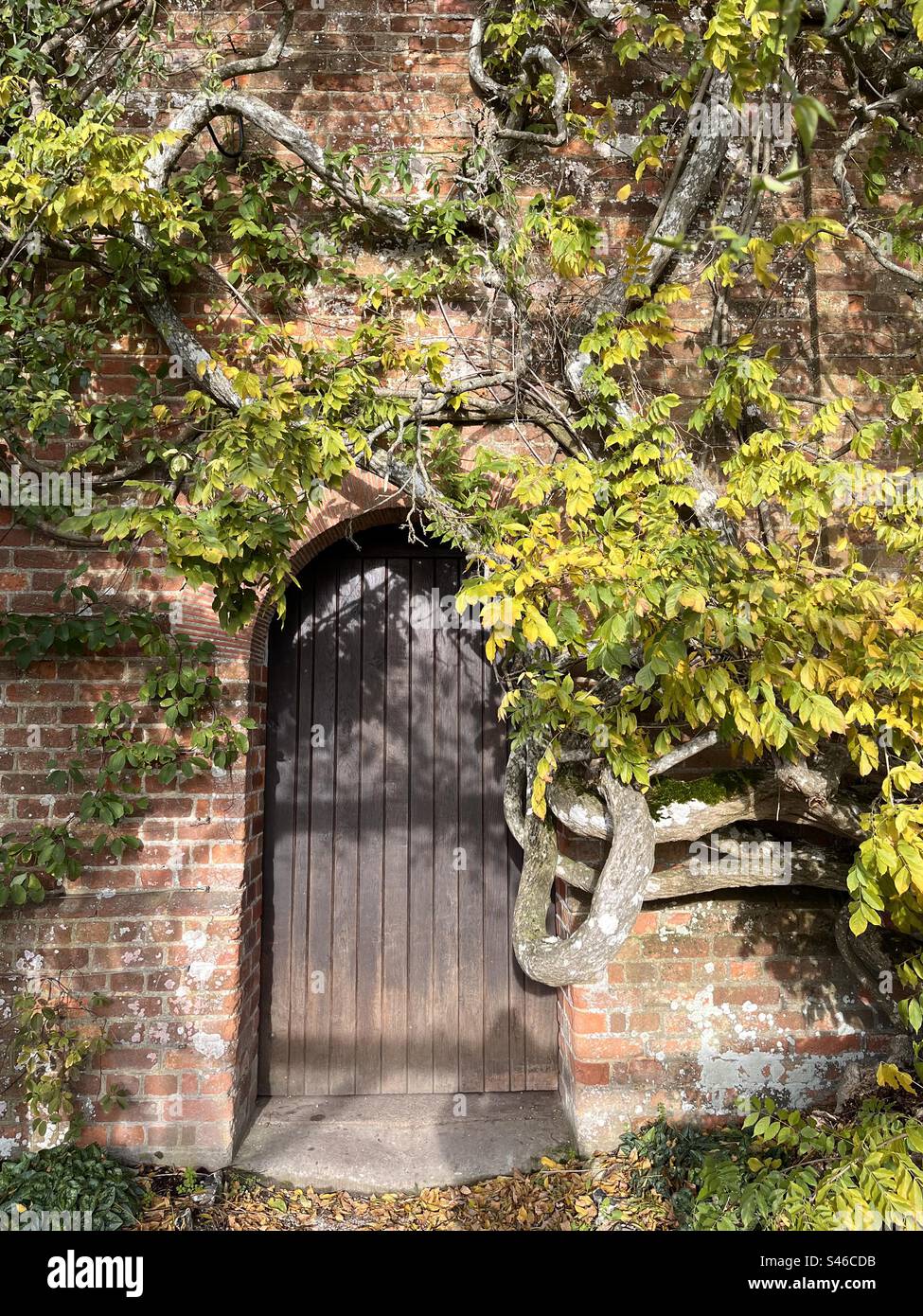 Porte en bois dans un jardin clos, Polesden Lacey, Surrey, Angleterre Banque D'Images