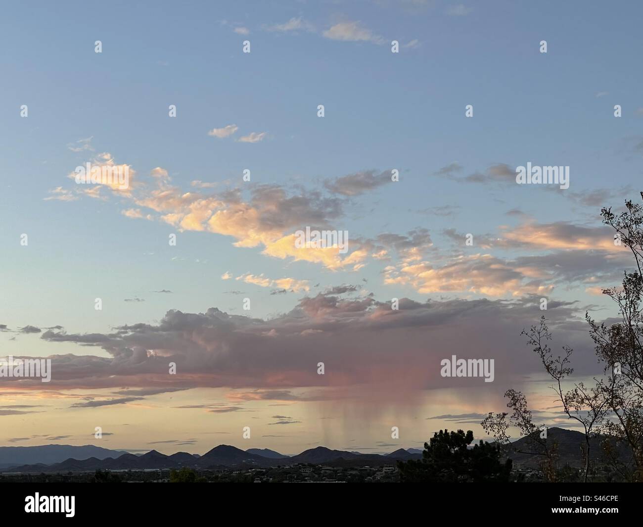 Les moussons de l'Arizona ont commencé!, Virga rose, nuages violets massifs, chaînes de montagnes ombragées, coucher de soleil, Phoenix, vue depuis Lookout Mountain, encadrée par la silhouette de buisson créosote Banque D'Images