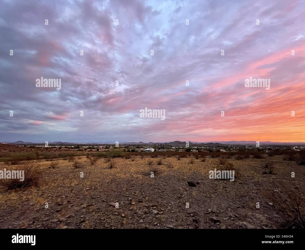 Arizona Sunrise sur le désert de Sonoran à perte de vue, violet doux, orange, bandes de couleur, Lookout Mountain, Phoenix, Arizona Banque D'Images