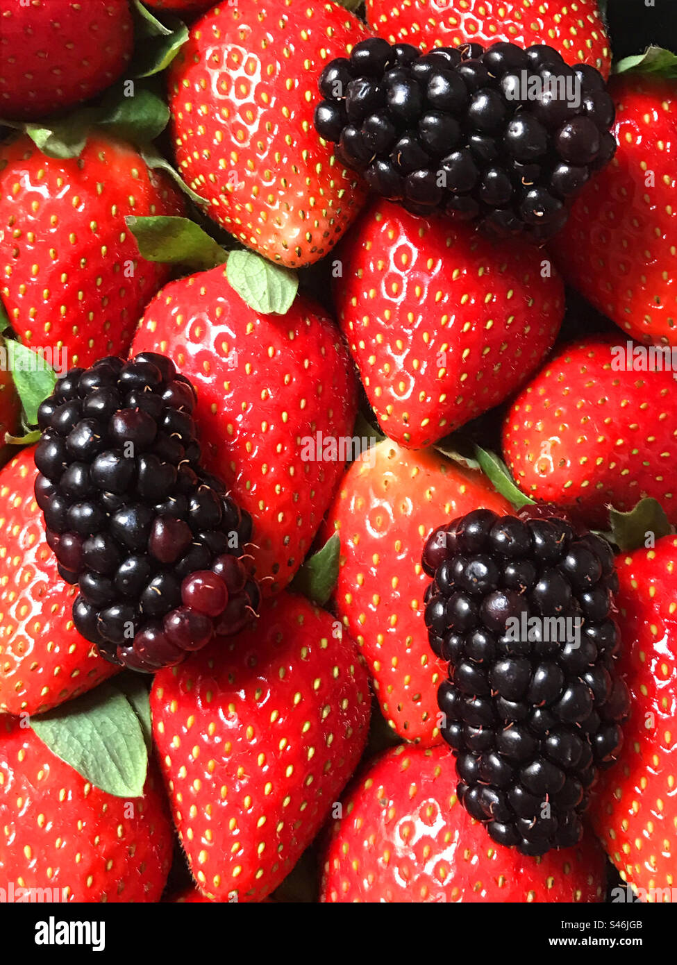 Les fraises et les mûres - Image de stock capturée avec un smartphone