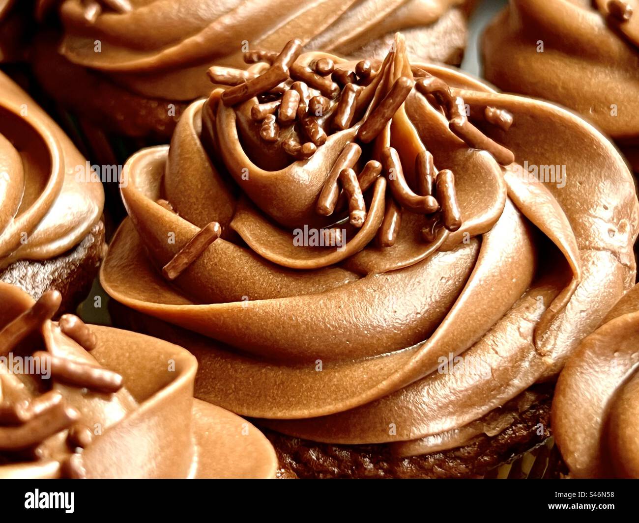 Cupcakes au chocolat avec des saupoudrages de chocolat Banque D'Images