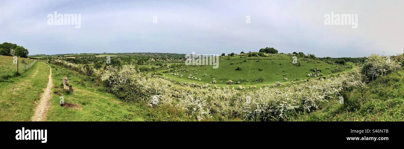 Réserve naturelle de St Catherine's Hill à Winchester Hampshire Royaume-Uni - Image de stock capturée avec un smartphone