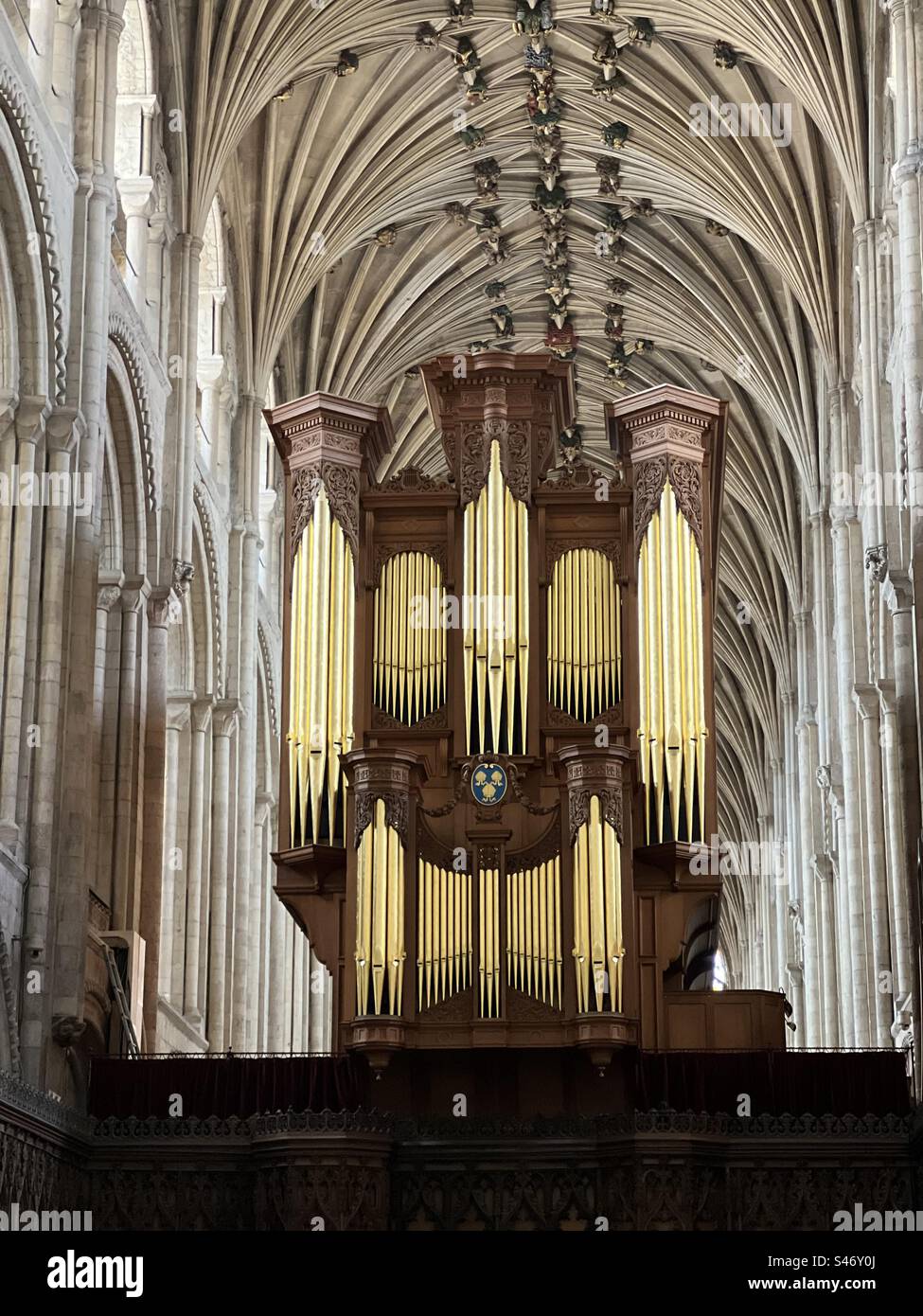 Arches historiques de la cathédrale de Norwich et toit en pierre avec l'orgue reconditionné et ses tuyaux d'orgue récemment dorés Banque D'Images