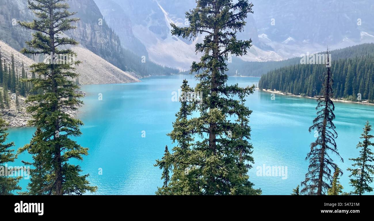 Les sapins Douglas des montagnes Rocheuses posent majestueusement contre les eaux glaciaires du lac Moraine dans le parc national Banff, Alberta, Canada. Banque D'Images