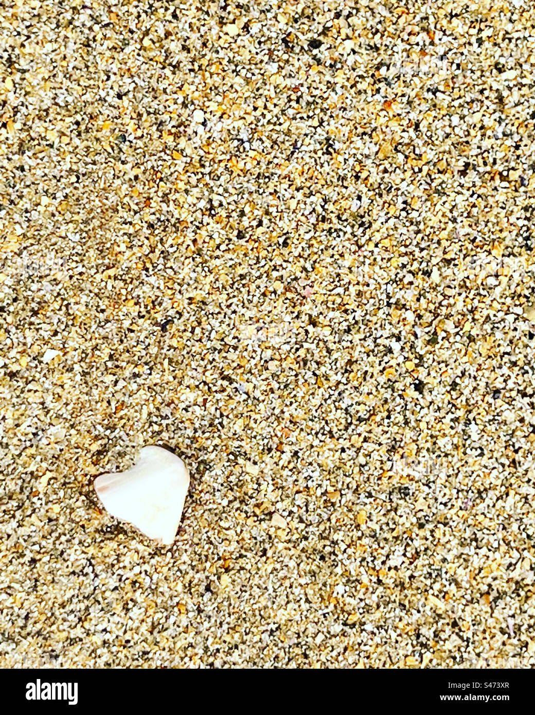 Beach Love - quand vous trouvez un coeur en pierre blanche sur la plage. Banque D'Images
