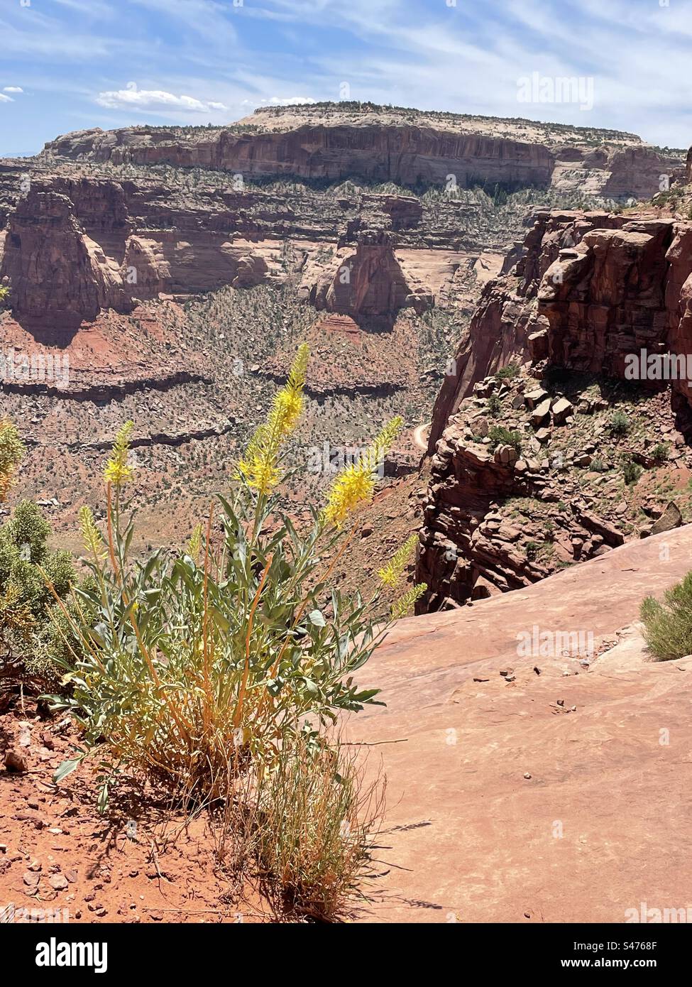 Le sentier White Rim offre certains des panoramas les plus spectaculaires du parc national Canyonlands. Canyonlands est situé près de Moab, Utah. - Image de stock capturée avec un smartphone