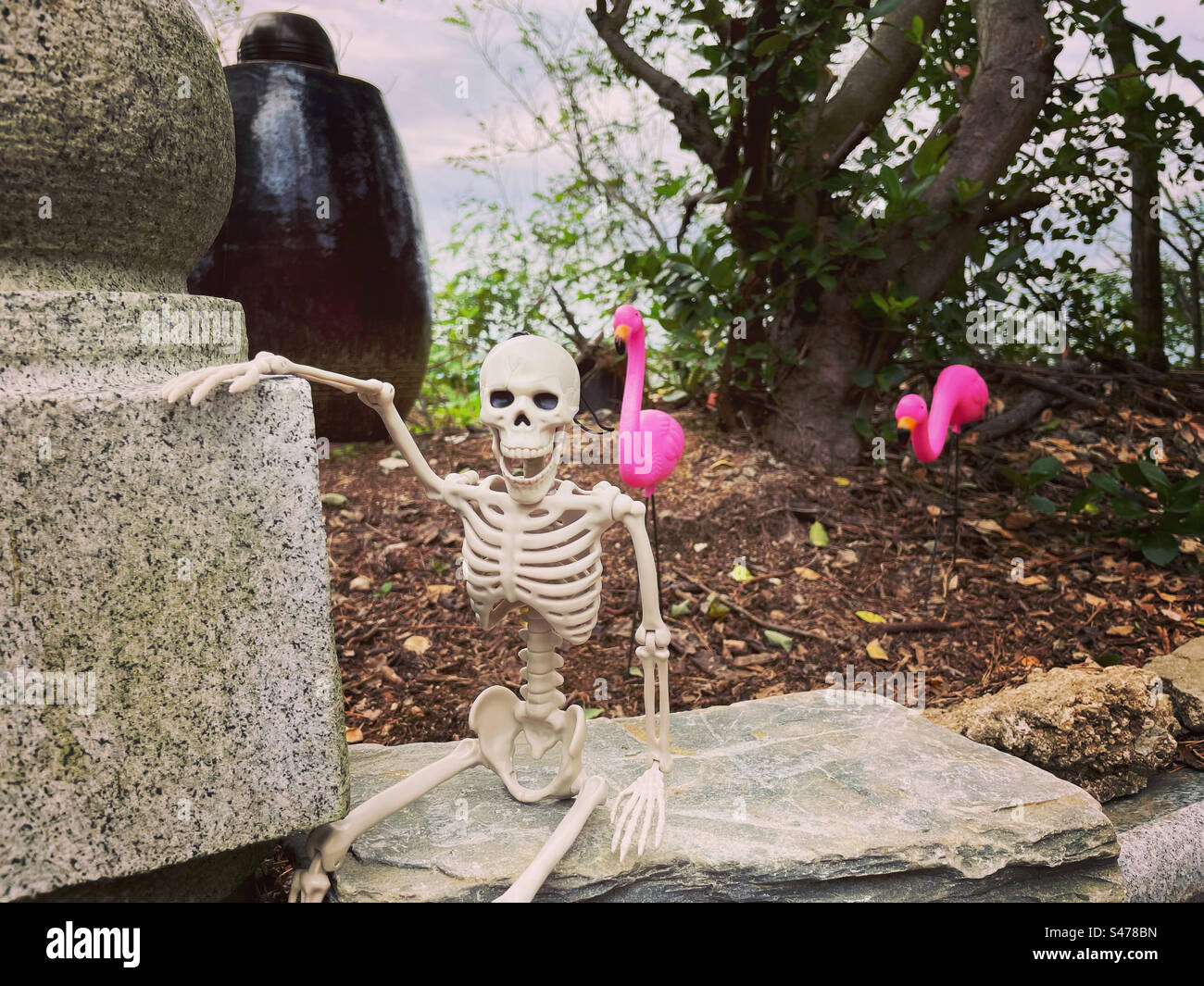 Squelette d'Halloween et cimetière de flamants roses. Banque D'Images