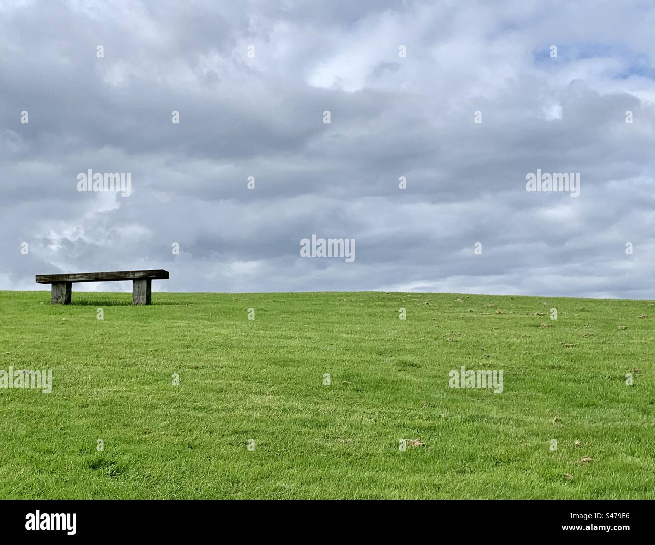 Banc vide sur une colline verdoyante - Image de stock capturée avec un smartphone