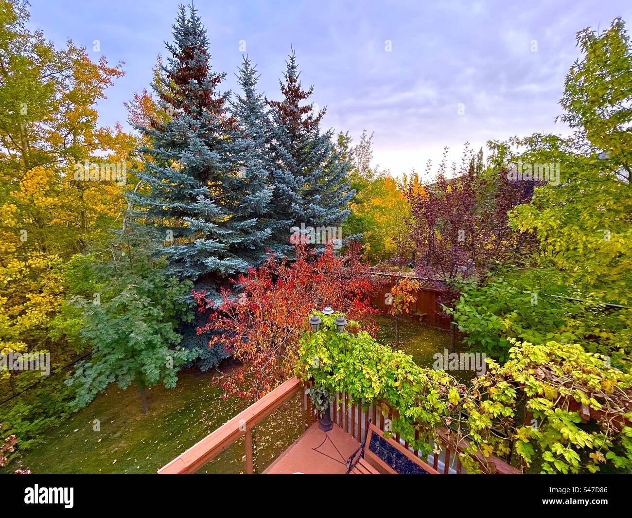 Automne en Alberta, Calgary, Canada, photographie de jardin Banque D'Images Automne en Alberta, Calgary, Canada, photographie de jardin Banque D'Images