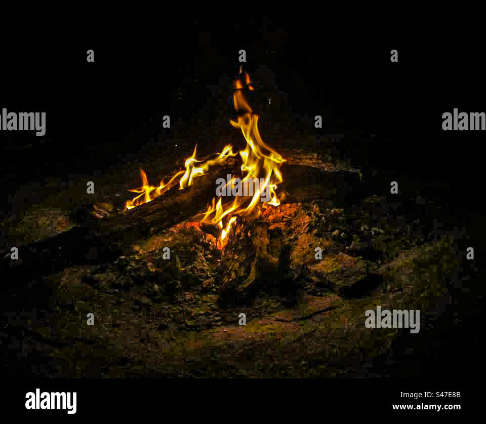 Feu de camp - Image de stock capturée avec un smartphone