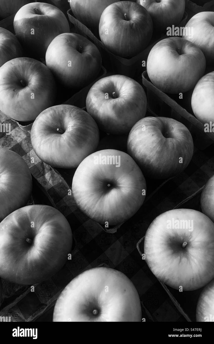 Pommes fraîches à vendre au marché fermier local dans un monochrome noir et blanc. Banque D'Images
