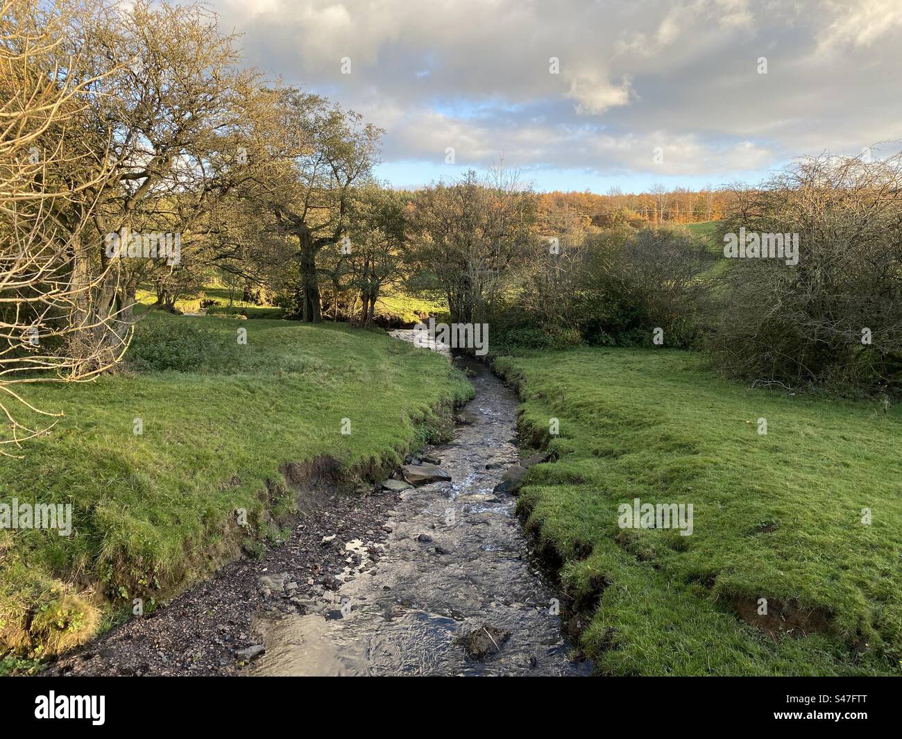 Fin d'après-midi d'automne, avec un ruisseau, de vieux arbres, et une forêt lointaine à Tong, Bradford, Royaume-Uni Banque D'Images