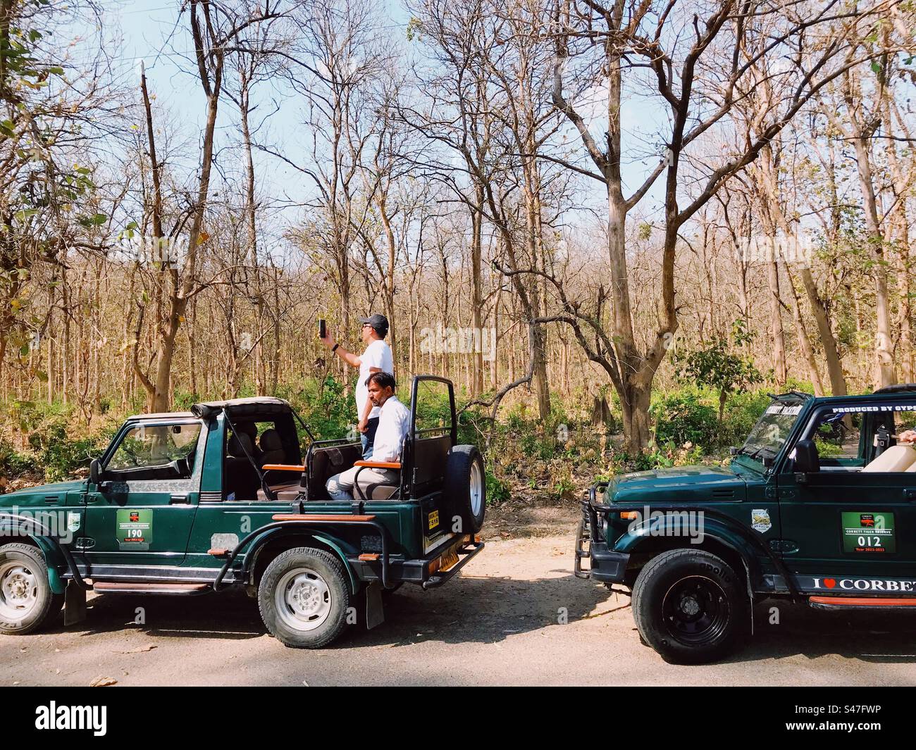 Jeeps de safari animalier dans une forêt en Inde - Image de stock capturée avec un smartphone Jeeps de safari animalier dans une forêt en Inde - Image de stock capturée avec un smartphone