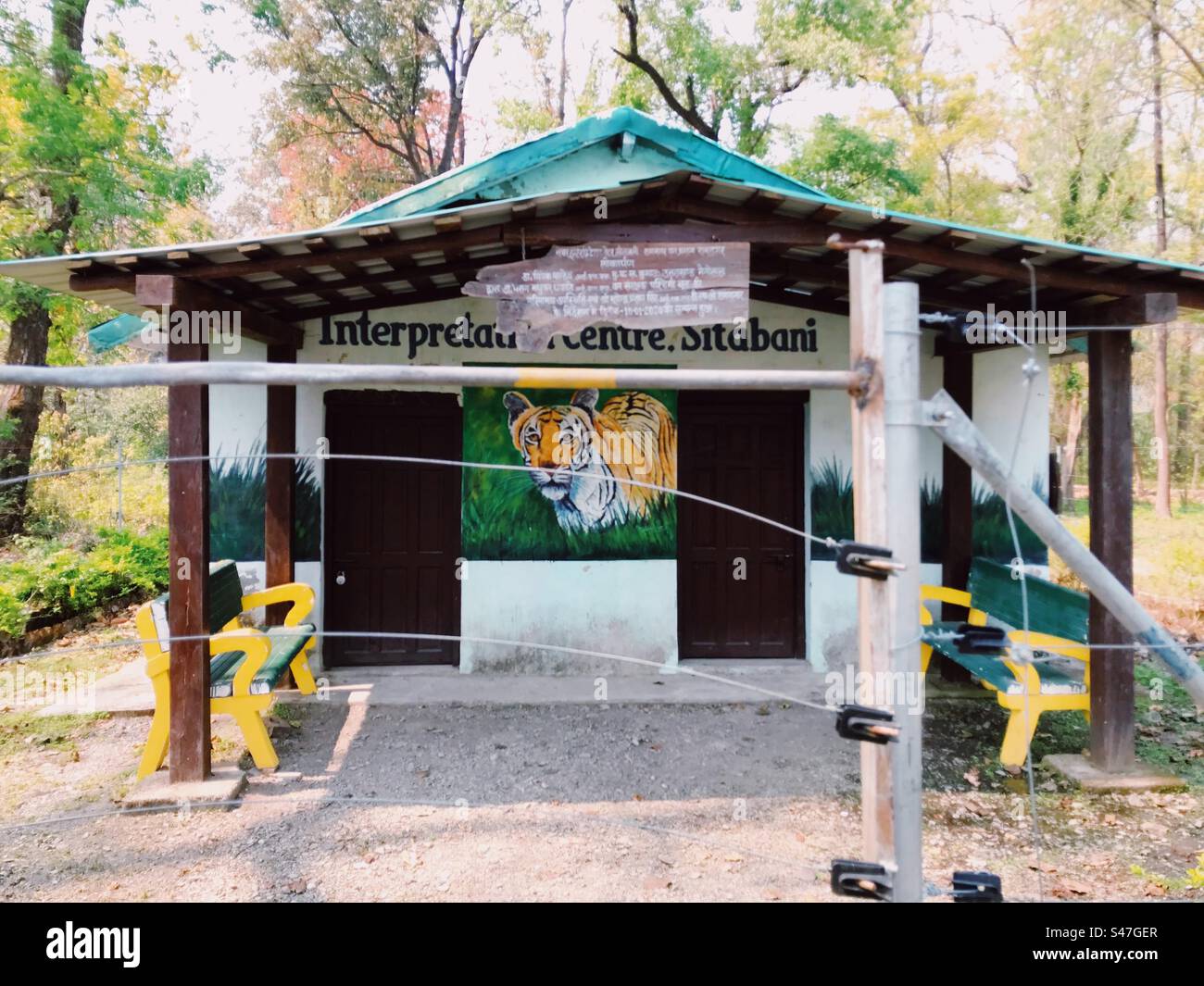 Un tigre peint sur les murs d'un avant-poste forestier en Inde - Image de stock capturée avec un smartphone