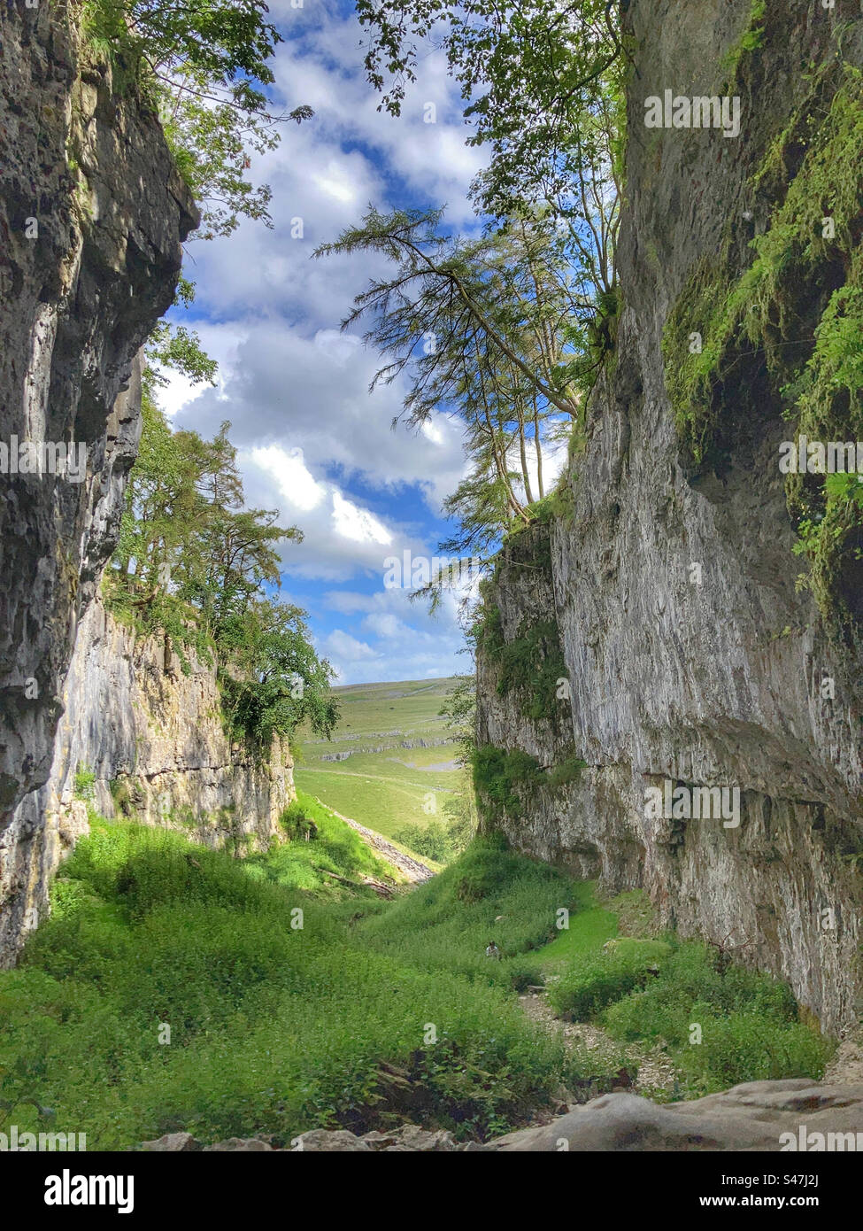 Trow Gill Yorkshire Dales Banque D'Images