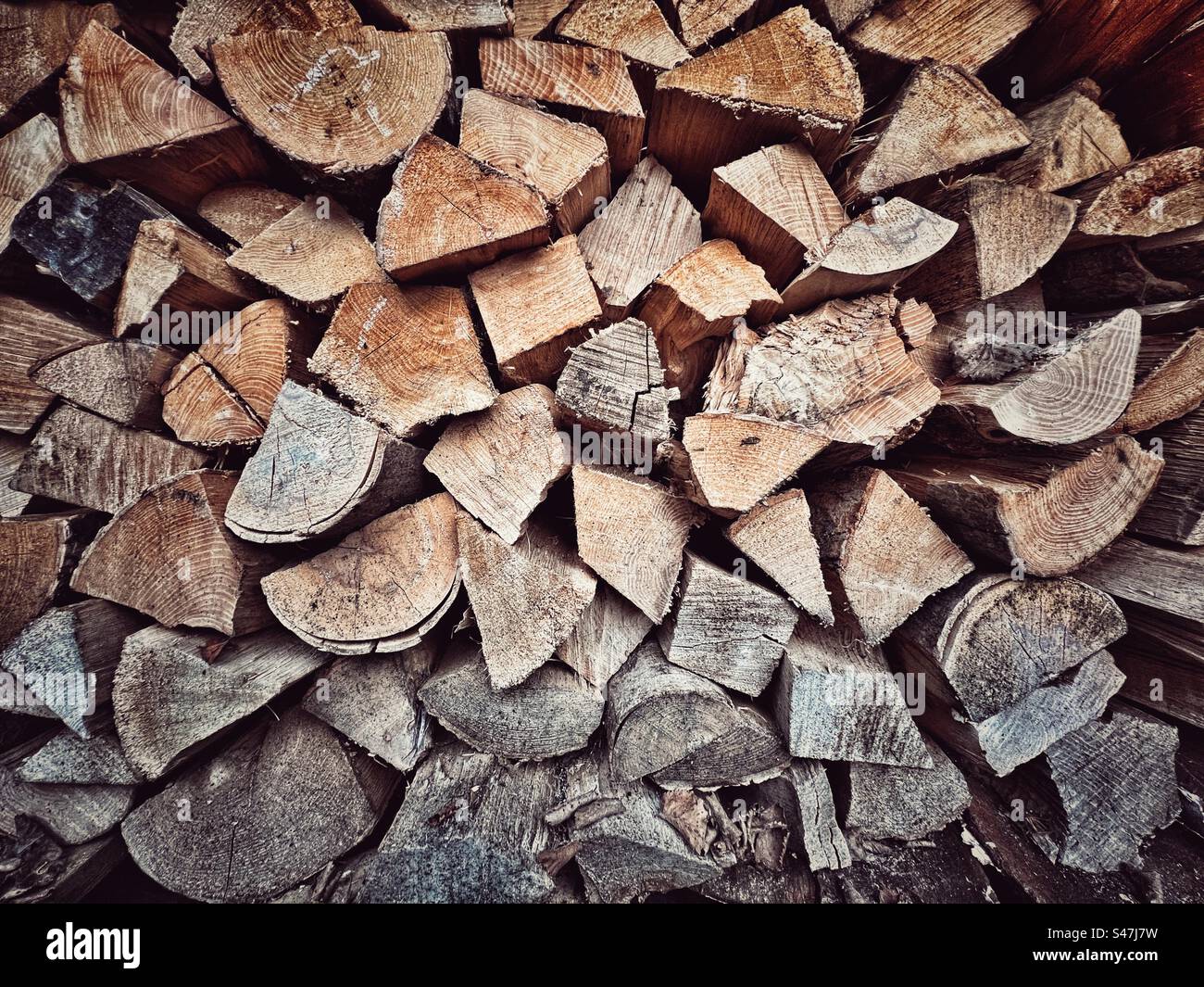 Grande pile de bois de chauffage haché et en décomposition dans l'éclairage automnal Banque D'Images