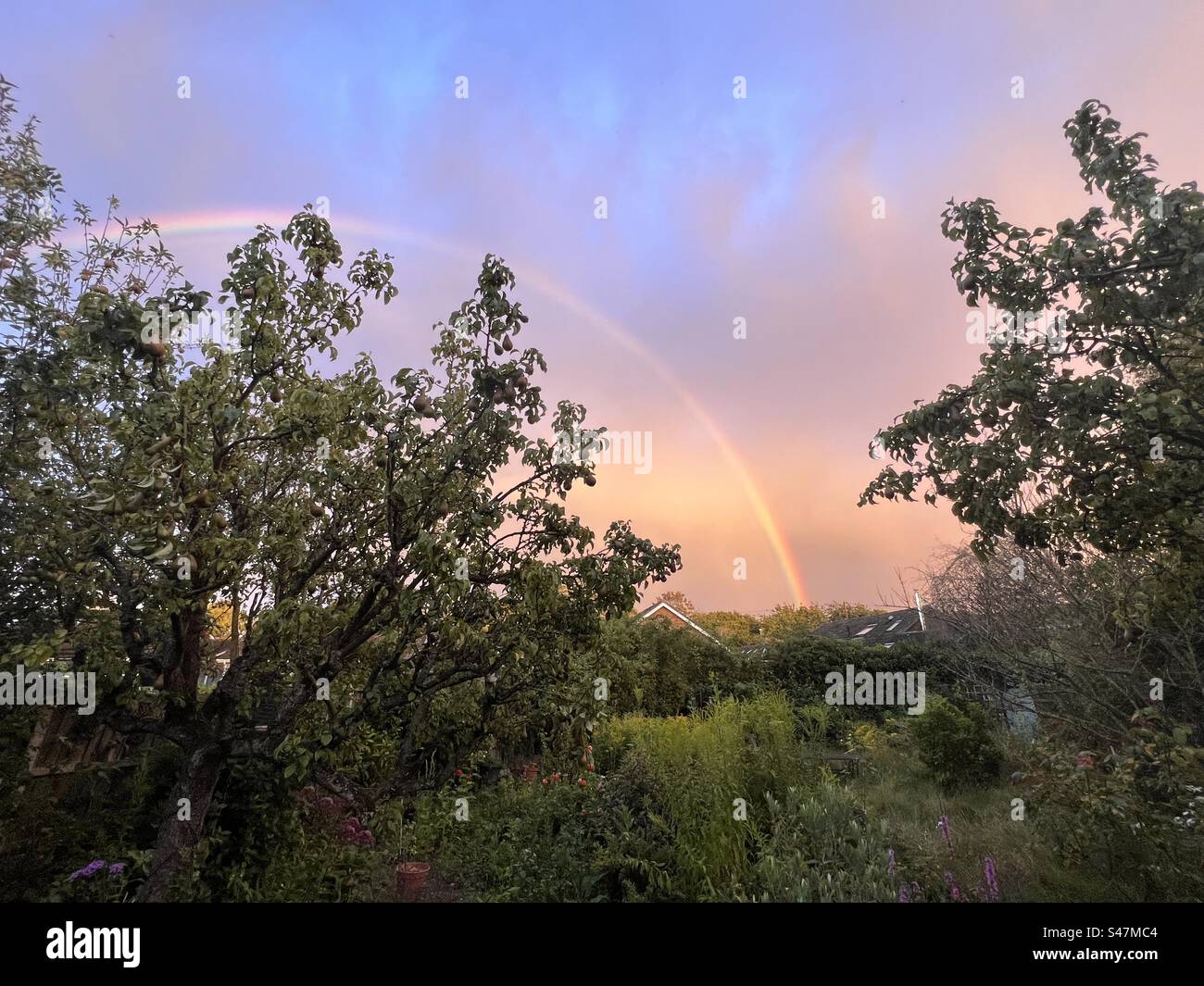 Magnifique paysage de coucher de soleil avec arc-en-ciel dans le ciel coloré de rose bleu orange dans la soirée d'été tranquille Banque D'Images