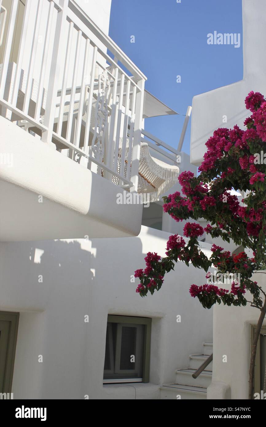 Bourganvillea contre une maison blanche lumineuse, Naxos, Grèce - Image de stock capturée avec un smartphone