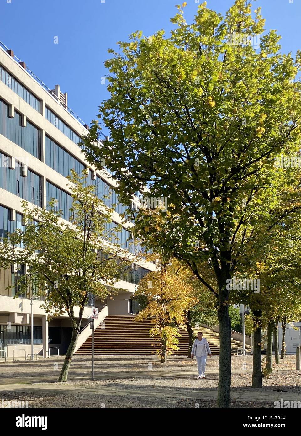 Le bâtiment E C Stoner de l'Université de Leeds, Royaume-Uni. Le plus grand bâtiment du campus, avec les couloirs les plus longs d'Europe lors de son ouverture en 1968. Il est nommé d'après un physicien distingué. Banque D'Images