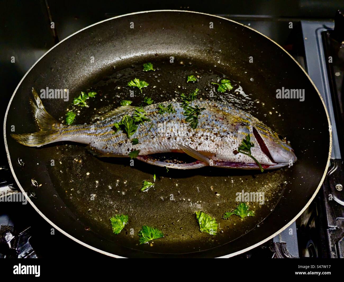 SARPA salpa le poisson rêvé salema vache porgy dorade goldline daurade fond d'alimentation poisson cuisinier friture friture friture grillade grillade persil grillé nourriture pêchée dans le sud de la France Banque D'Images