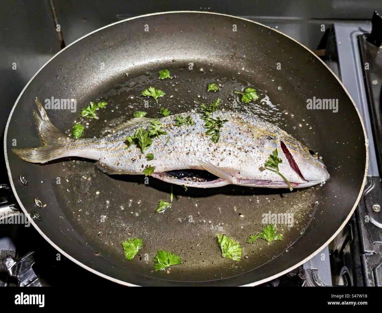 SARPA salpa le poisson rêvé salema vache porgy dorade goldline daurade fond d'alimentation poisson cuisinier friture friture friture grillade grillade persil grillé nourriture pêchée dans le sud de la France Banque D'Images