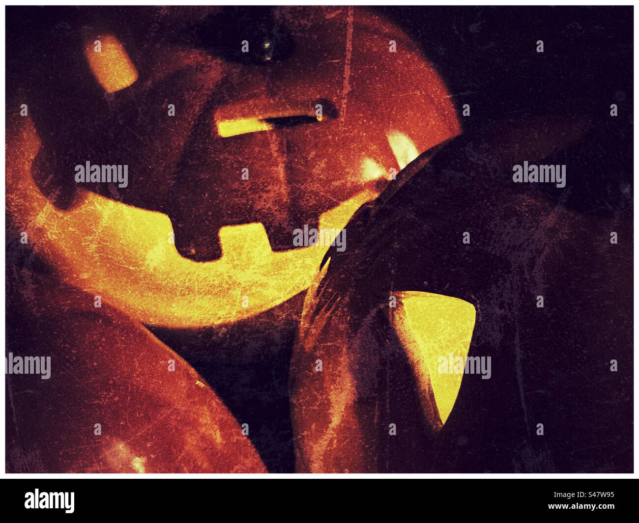 Gros plan des citrouilles d'halloween Banque D'Images