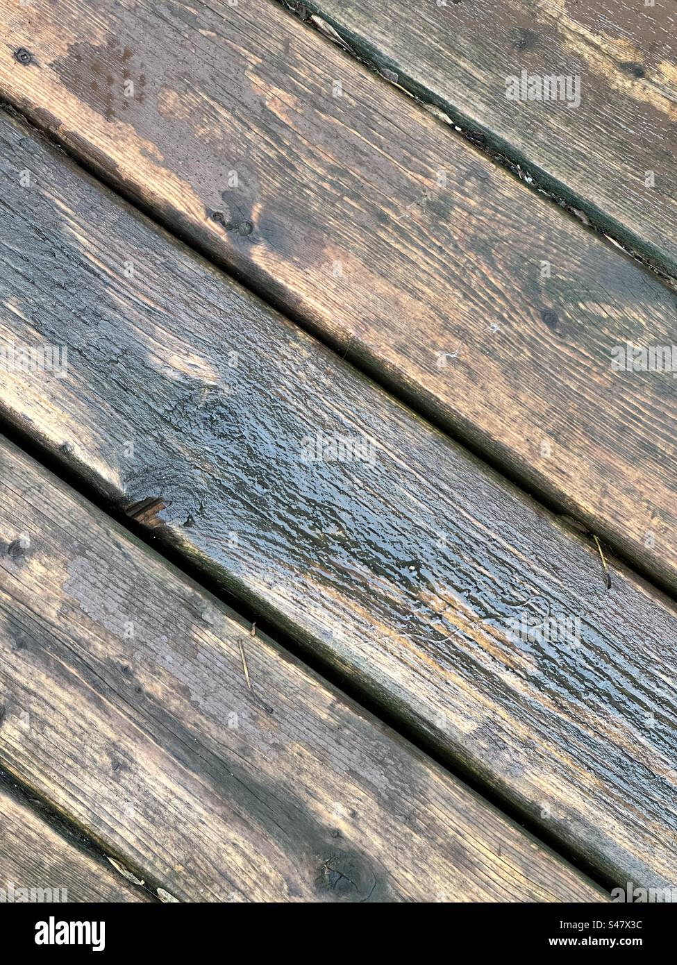 Planches de terrasse mouillées et altérées Banque D'Images