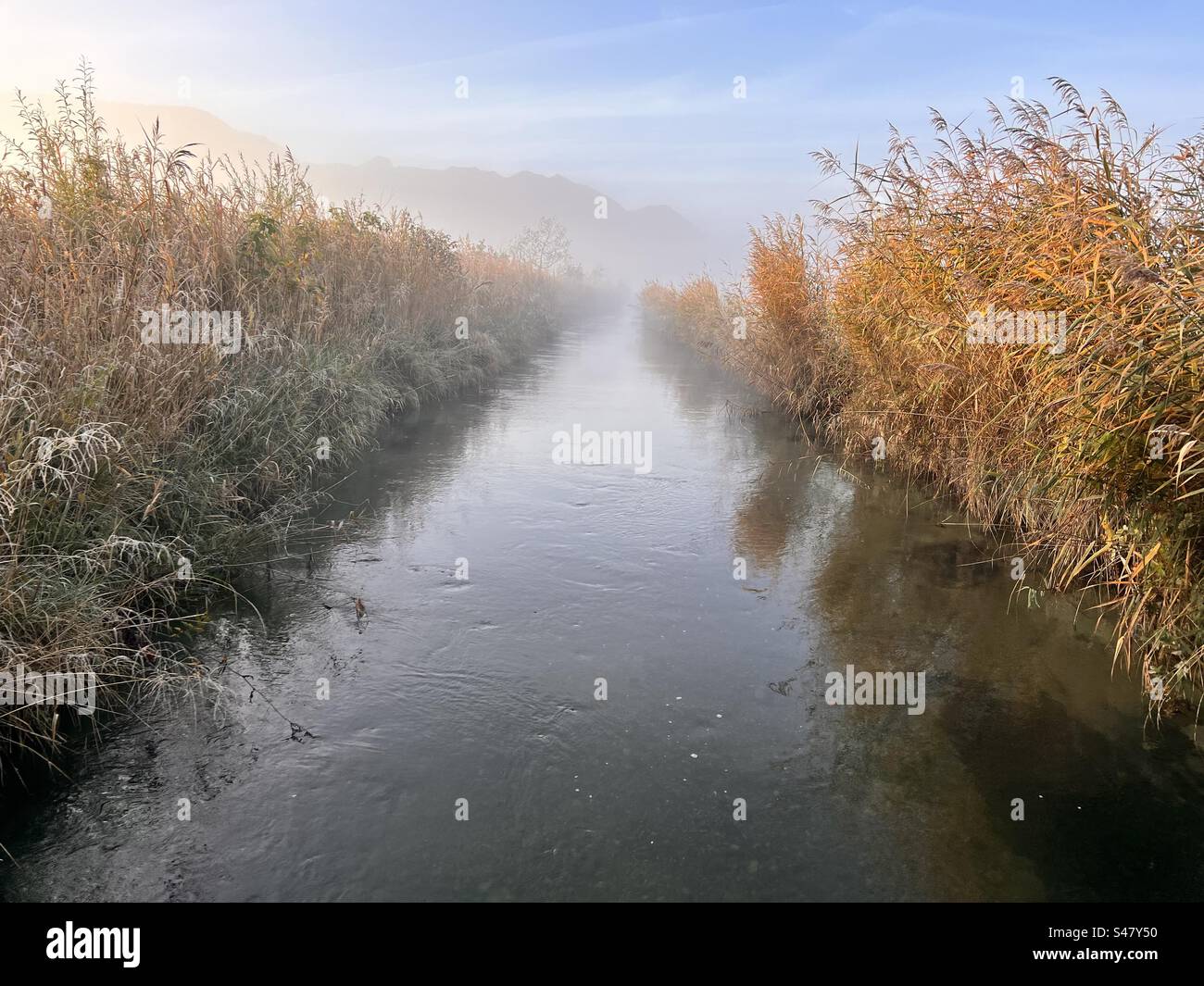 Belle matinée d'automne dans Murnau Marsh en Bavière, Allemagne Banque D'Images