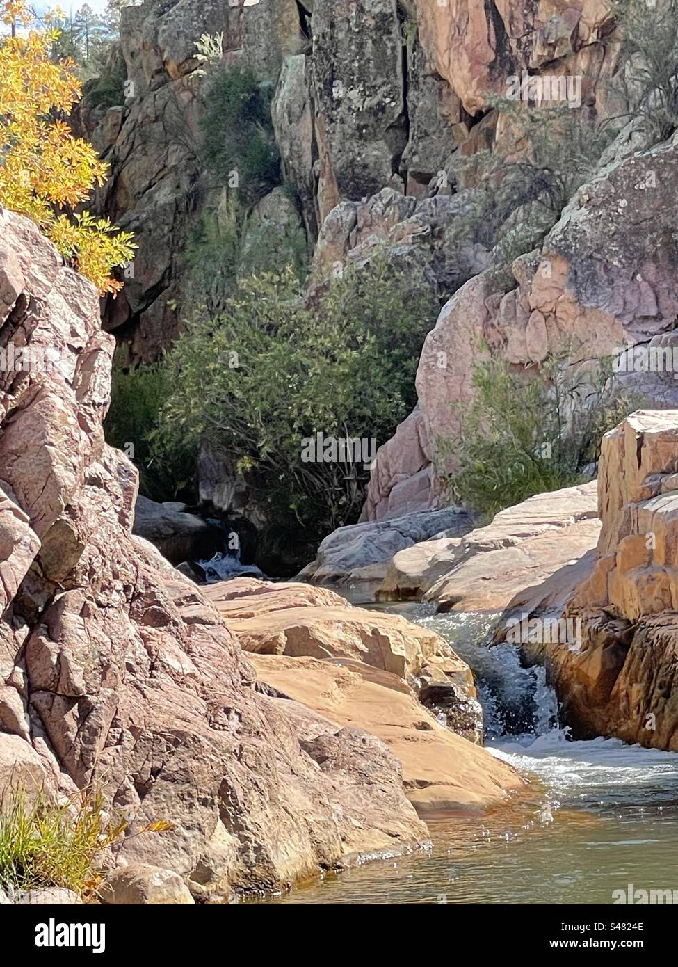 Chutes de la rivière East Verde, sentier Water Wheel Falls, rochers de granit rose, feuilles de début d'automne, Payson, Arizona Banque D'Images