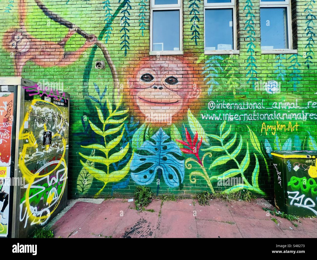 Art de rue mural de singe et jungle peint sur le mur d'un bâtiment à Brighton, East Sussex, Angleterre, Royaume-Uni. Banque D'Images