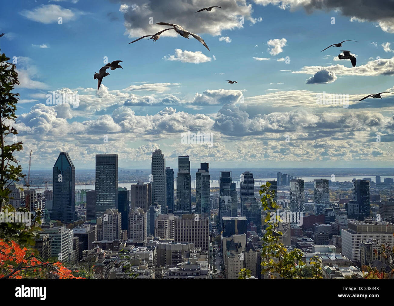 Vue sur le centre-ville de Montréal depuis le sommet du mont Royal - Image de stock capturée avec un smartphone