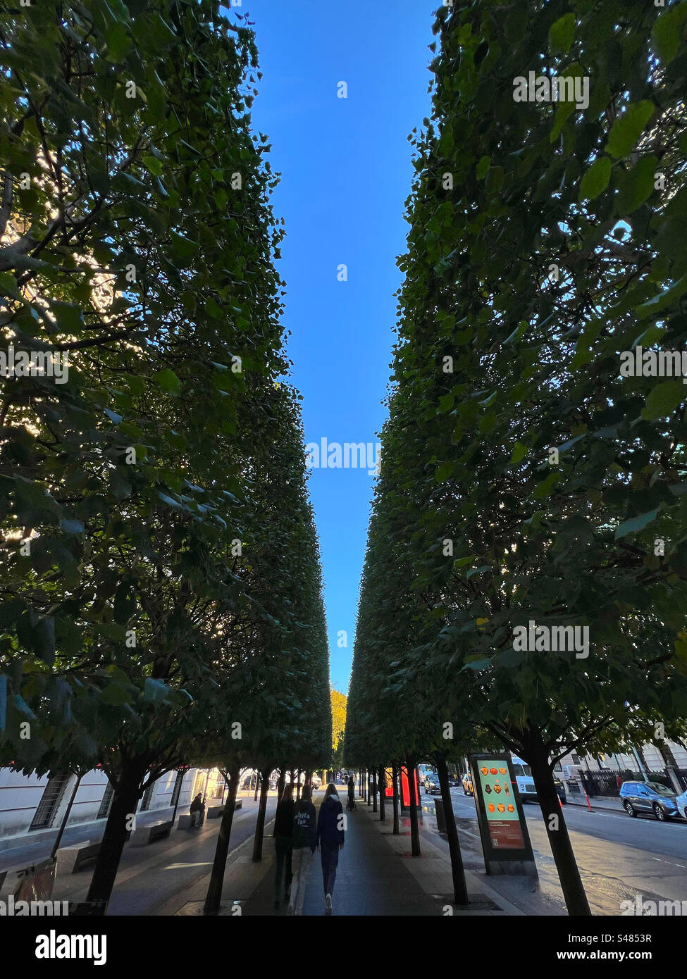 Les gens marchent sur l'avenue bordée d'arbres devant Metropolitan Museum à New York Banque D'Images