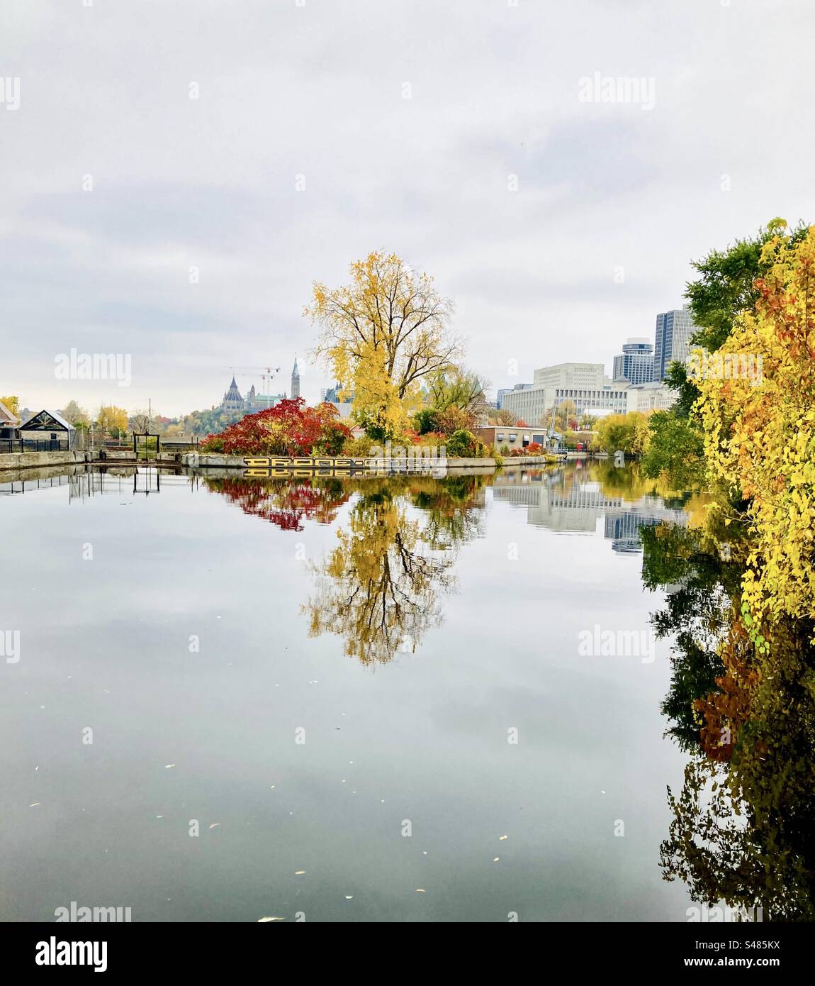 Reflets de paysages d'automne. Banque D'Images